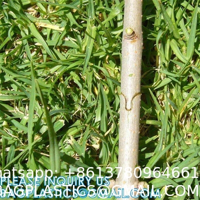 Shears Boxes, Garden Grafting Machine Seedling Tool Fruit Tree Grafting Knife Garden Technology Artifact Tools Kit