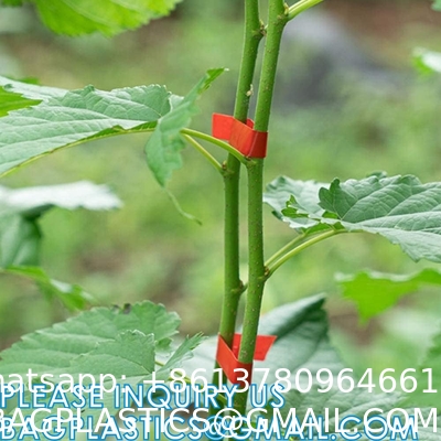 Garden Tapetool Plant Vegetable Hand Tying Binding Machine Tape Tool Plant Tying Tapetool Fruit Tapener Machine