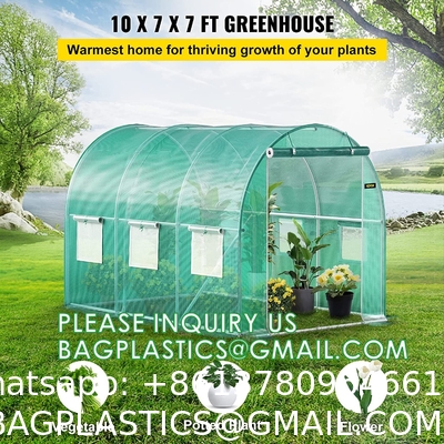 Portable Plant GreenHouse Zippered Door Windows, Galvanized Steel Hoops, Glass Greenhouse, Polycarbonate Greenhouse