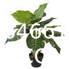 Artificial Monstera Deliciosa Plant 37" Fake Tropical Palm Tree, Perfect Faux Swiss Cheese Plants in Pot