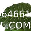 Artificial Monstera Deliciosa Plant 37" Fake Tropical Palm Tree, Perfect Faux Swiss Cheese Plants in Pot