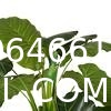 Fake Colocasia Esculenta, Plastic variegata artificial Taro, Subtropics Faux Swiss Cheese Plant For Home Garden Office