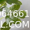 Real Touch 120cm Artificial Tree Bonsai Plant Fig Tree Ficus Carica Decorative Tree Artificial Plant Home Decor