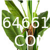 Artificial Plants Fake Banana Tree with Green Leaves in Plastic Pot Faux Strelitzia Jungle Tropical Plants Greenery
