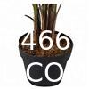 Artificial Green Dieffenbachia Plant 2 Pack - Faux Indoor Plant Spray - EverGreen Greenery For Home Or Office Decor