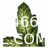 Artificial Green Dieffenbachia Plant 2 Pack - Faux Indoor Plant Spray - EverGreen Greenery For Home Or Office Decor