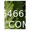 Artificial Green Dieffenbachia Plant 2 Pack - Faux Indoor Plant Spray - EverGreen Greenery For Home Or Office Decor