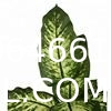 Artificial Green Dieffenbachia Plant 2 Pack - Faux Indoor Plant Spray - EverGreen Greenery For Home Or Office Decor