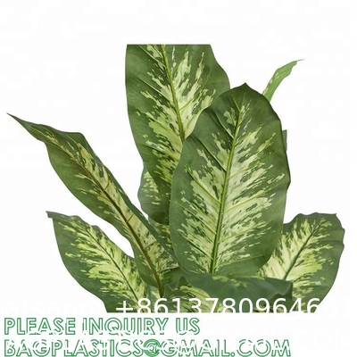 Artificial Green Dieffenbachia Plant 2 Pack - Faux Indoor Plant Spray - EverGreen Greenery For Home Or Office Decor