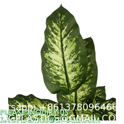 Artificial Green Dieffenbachia Plant 2 Pack - Faux Indoor Plant Spray - EverGreen Greenery For Home Or Office Decor