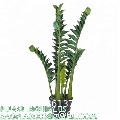 Artificial Trees Tall Faux Money Tree Big Fake Floor Plants Silk Trees Indoor Pachira Aquatica with 31 Branches
