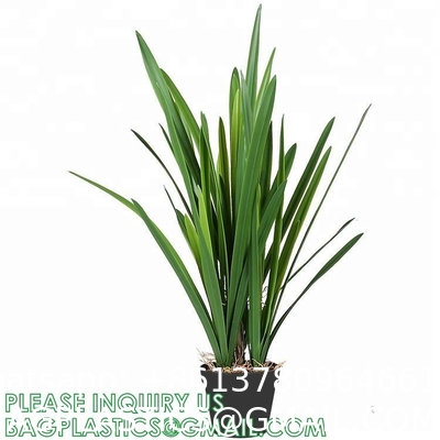 Artificial Plants 6 Pack Onion Tall Grass Greenery, Faux Fake Grass Shrubs Plant Flowers Wheat Grass for House Home