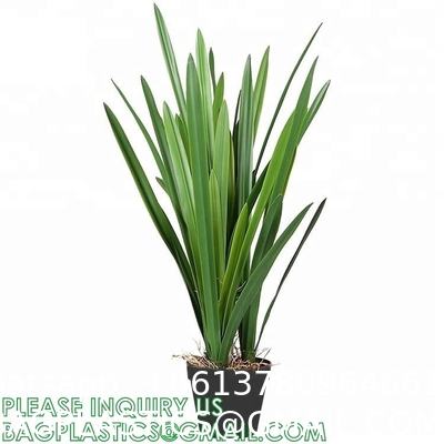 Artificial Plants 6 Pack Onion Tall Grass Greenery, Faux Fake Grass Shrubs Plant Flowers Wheat Grass for House Home
