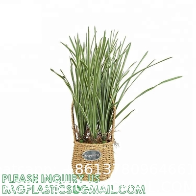 Artificial Plants 6 Pack Onion Tall Grass Greenery, Faux Fake Grass Shrubs Plant Flowers Wheat Grass for House Home