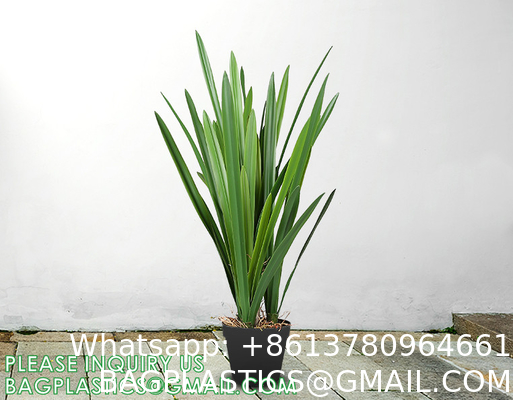 Artificial Plants 6 Pack Onion Tall Grass Greenery, Faux Fake Grass Shrubs Plant Flowers Wheat Grass for House Home