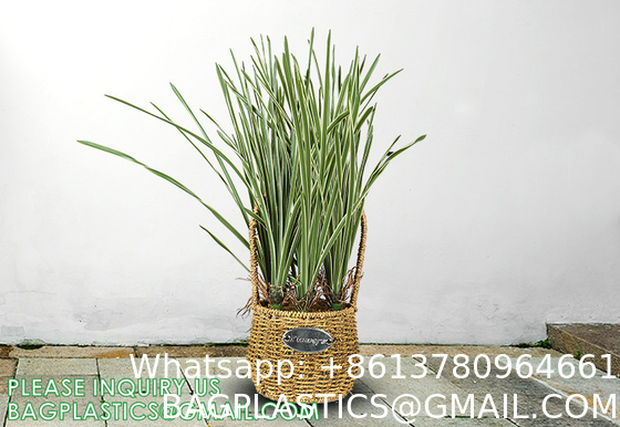Artificial Plants 6 Pack Onion Tall Grass Greenery, Faux Fake Grass Shrubs Plant Flowers Wheat Grass for House Home