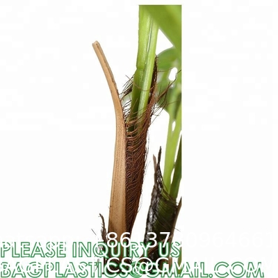 1.6m For Decoration Bonsai Artificial Fishtail Palm Plant, Artificial Tree Fake Potted Simulation Tree Nordic Style