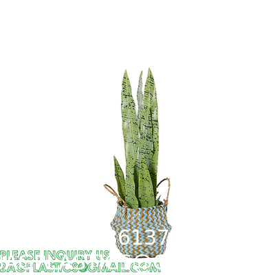 Home Decoration Basket For Plants Cotton Rope Woven Rattan Flower Pots Planter Cotton Rope Woven Rattan Flower Pots