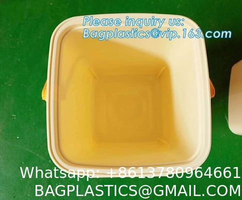 Airtight Pet Food Storage Container Combo with Scoop Treat Box for Dog Cat Bird Food, Keep Pests Out, Translucen