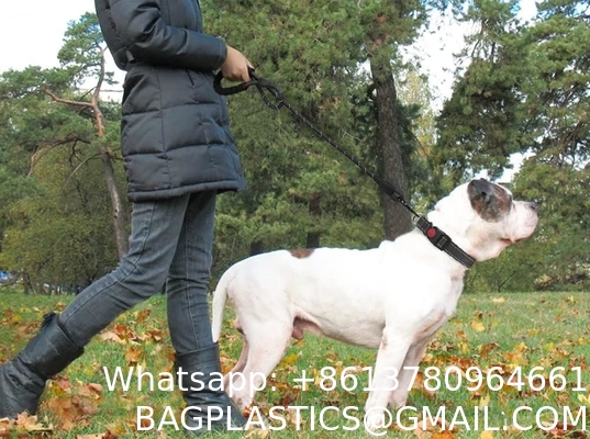 Dog Leash Heavy Duty, Comfortable Padded Handle, Highly Reflective Threads Dog Leash for Large Dogs