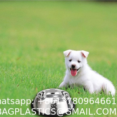Stainless Steel Dog Bowls, Dog Feeding Bowls, Dog Plate Bowls with Rubber Base,Small Pet Feeder Water Bowls