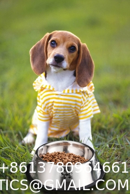 Stainless Steel Dog Bowls, Dog Feeding Bowls, Dog Plate Bowls with Rubber Base,Small Pet Feeder Water Bowls