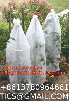 Transparent Low Tunnel Film Perforated For Culture Of Seedling Maturing Vegetables perforated red plastic mulch