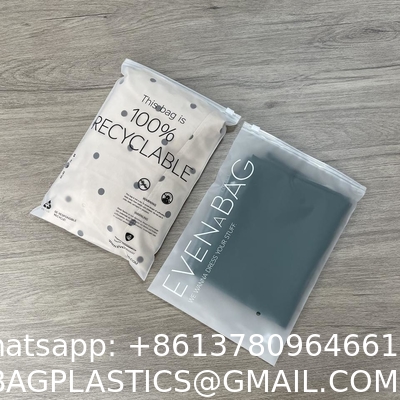 Wholesale Custom Logo Frosted Plastic Bag Clothes Zip Lock Self Sealing Bag Clothing Packaging Frosted Zipper Bags