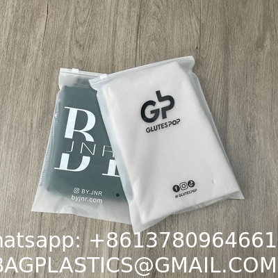 Wholesale Custom Logo Frosted Plastic Bag Clothes Zip Lock Self Sealing Bag Clothing Packaging Frosted Zipper Bags
