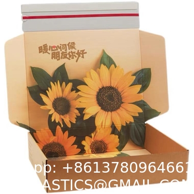 Hot Sale Custom Shipping Boxes Custom Logo Package Courier Box Delivery Corrugated Box