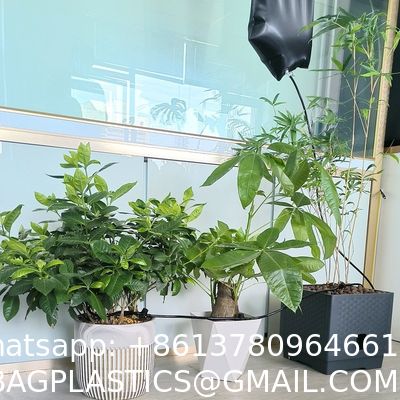 Extra Large 6500ML Drip Irrigation Bag Adjustable Flow, Self Automatic Watering System For Outdoor Gardening Plants And Flowers