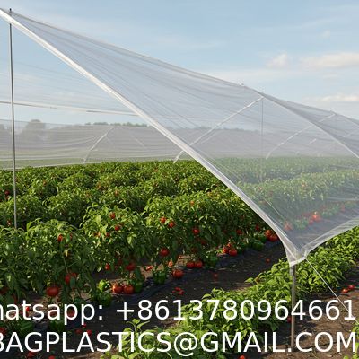 Anti Hail Net Agriculture Mesh HDPE Apple Tree Garden Hail Proof Netting Polyethylene Cheap Price Hail Guard Net Car Hail Protection Net Anti-Insect Hail Netting for Agricultural Apple Trees