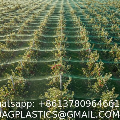 Anti Hail Net Agriculture Mesh HDPE Apple Tree Garden Hail Proof Netting Polyethylene Cheap Price Hail Guard Net Car Hail Protection Net Anti-Insect Hail Netting for Agricultural Apple Trees