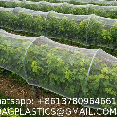 Garden Netting, Plant Covers 10x33Ft Net Ultra Fine Mesh Protection Netting For Vegetable Plants Fruits Flowers Crops Greenhouse Row Cover Raised Bed Barrier Screen Protection Net Cover