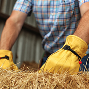 All around strong work gloves for any job