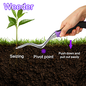 weeder