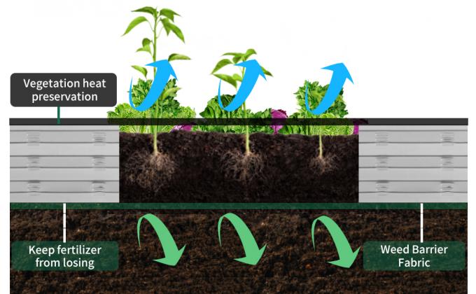 planters for vegetable plants outdoor