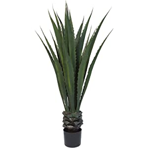 Giant Agave Floor Plan