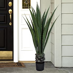 Giant Agave Floor Plant