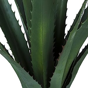 Giant Agave Floor Plant