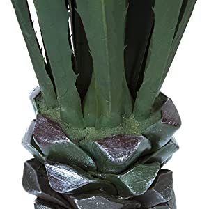 Giant Agave Floor Plant