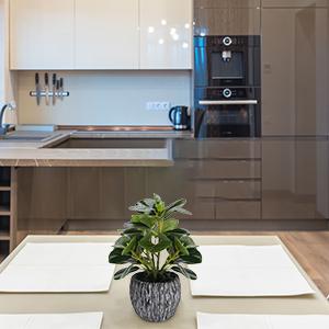 fake plants for bedroom aesthetic