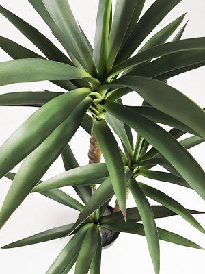 Advantage of using Artificial Plants