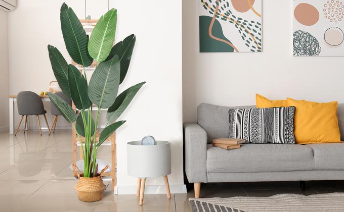 Ferrgoal Artificial Plants