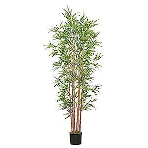 6ft Bamboo