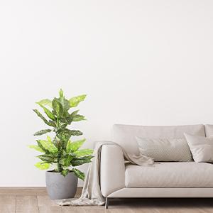 B098BQB95K - Module 3.3