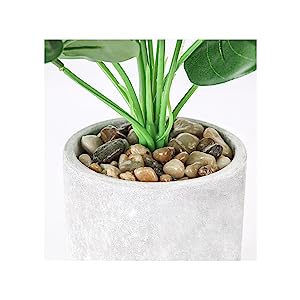 Modern Paper Pulp Pot