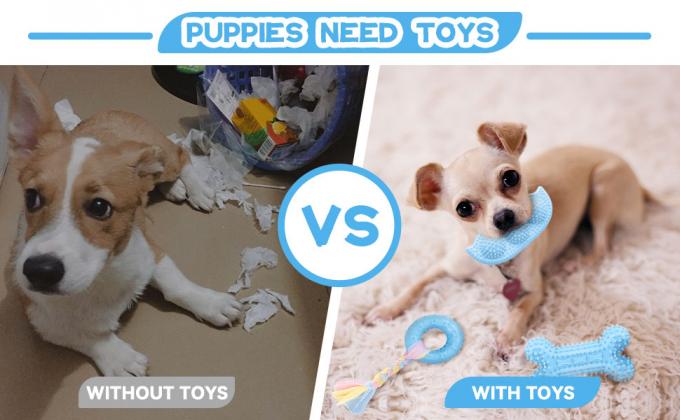 puppy toys