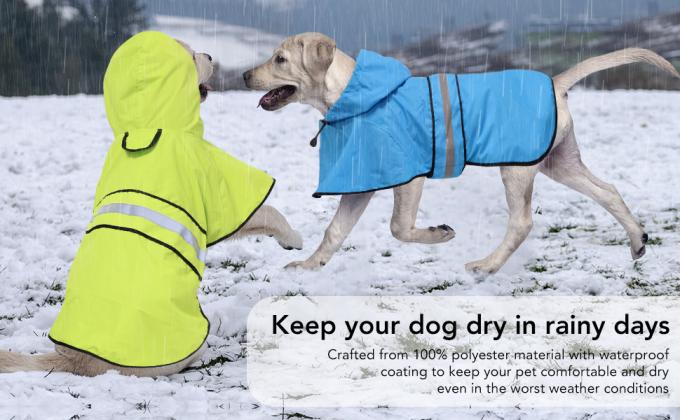 dog raincoat