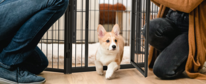 HomePlus Playpen 03.02